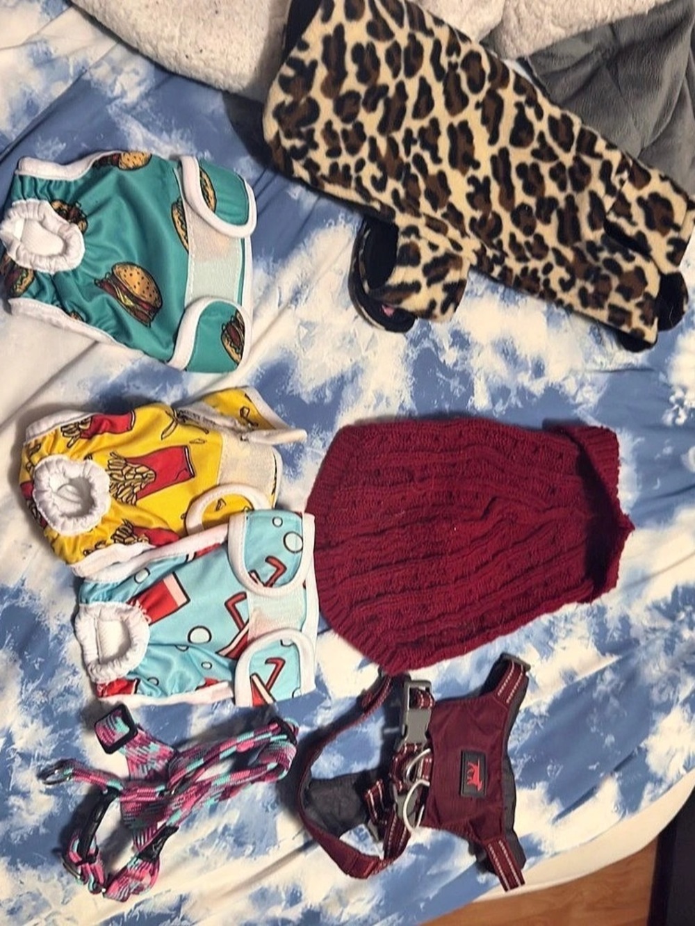 Dog Clothing & Accessories Bundle